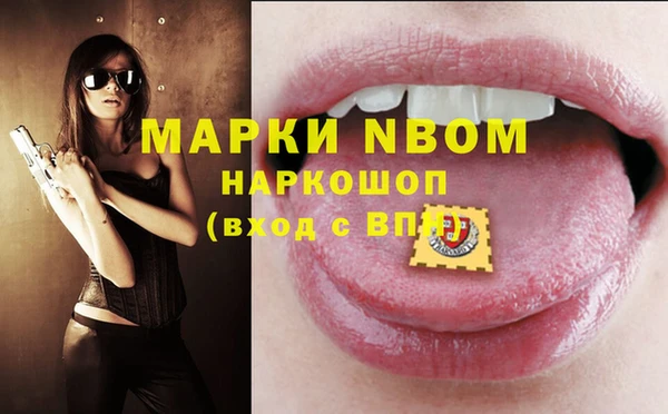 шишки Аркадак