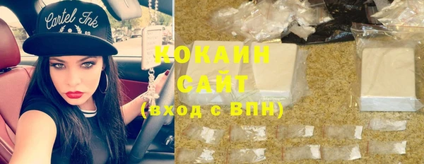 шишки Аркадак