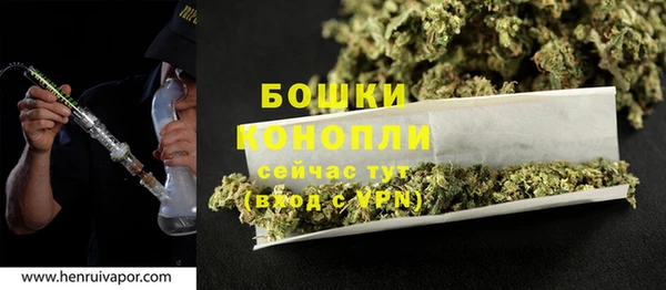 шишки Аркадак