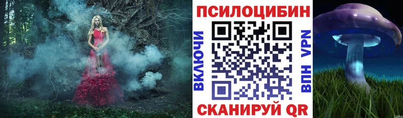 Псилоцибиновые грибы мицелий  KRAKEN   Уржум 